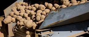 food industry - small